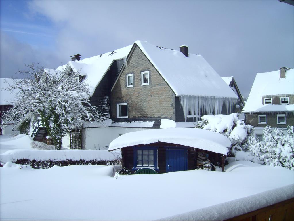 Ferienwohnung Boerner Winterberg Buitenkant foto